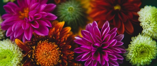 成功的關鍵 成功的關鍵