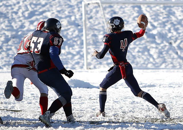 共发展的美 共发展的美