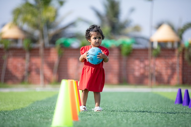 登的故事 登的故事