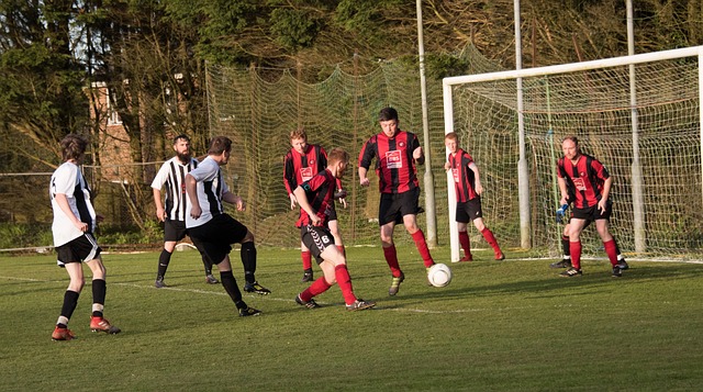 所体现的自 所体现的自