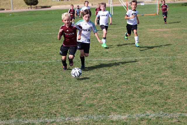 赛经验的积 赛经验的积