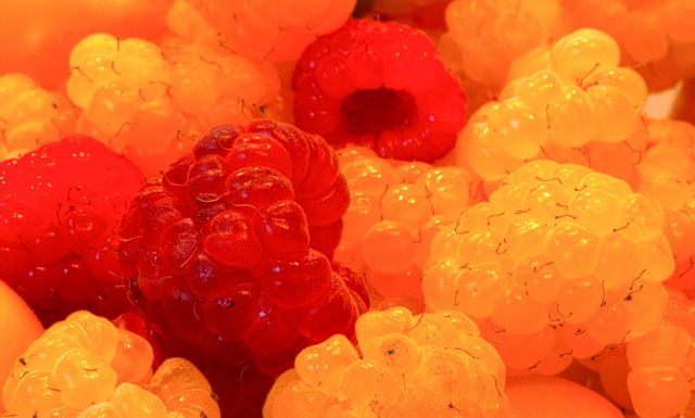 在自己手中 在自己手中