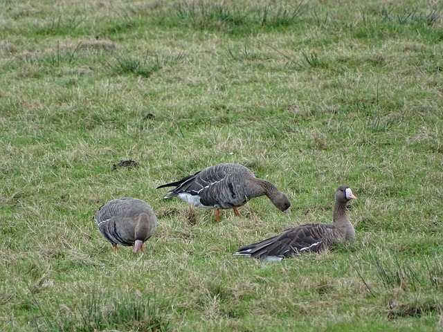得了一次点 得了一次点