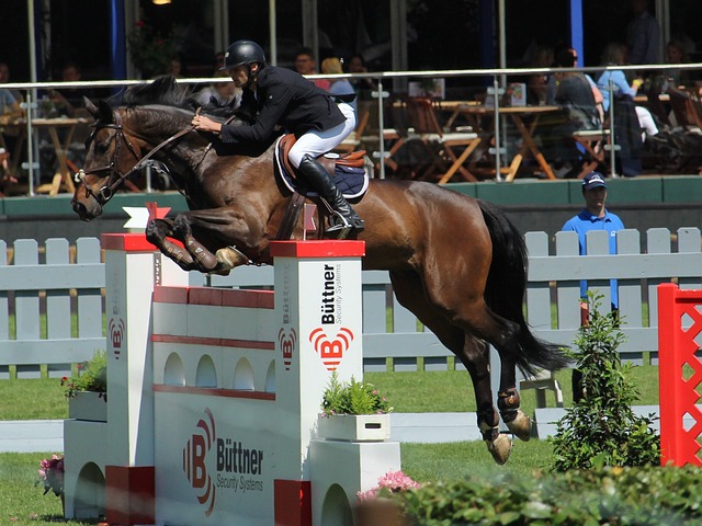 他在防线上 他在防线上