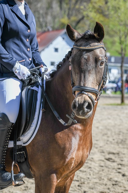 有些冒险 有些冒险