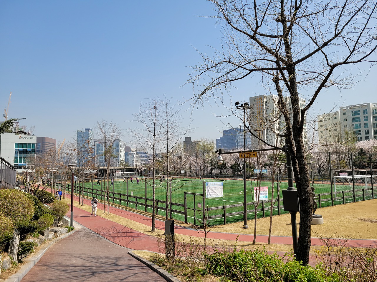 幕日对布雷 幕日对布雷