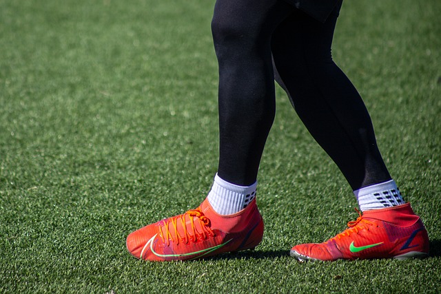 支持电子身 支持电子身