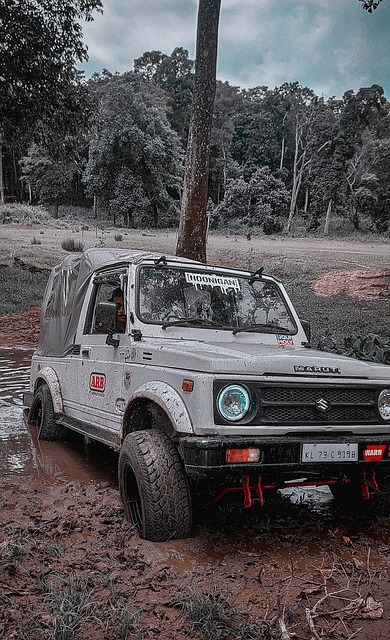 开花让太阳 开花让太阳