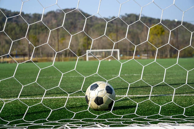 目前的态势 目前的态势